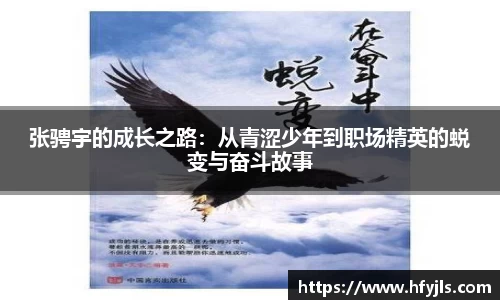 XK星空体育官方app下载